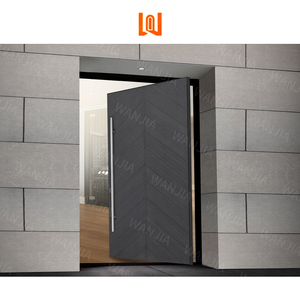 Heavy Duty Steel Pivot Metal Door With Weatherproof Design For Outdoor Commercial Entryway Strong Security