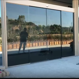 Frameless Entrance Door Automatic Sliding Door