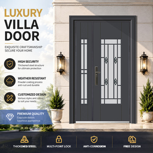 Customized Modern Swing Glass Entrance Doors with Anti-Theft Feature Steel Frame