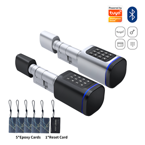 Euro Keyless Electric Aluminum Door with Adjustable Network Access Password Cylinder Lock Tuya WiFi Connected Wooden Door