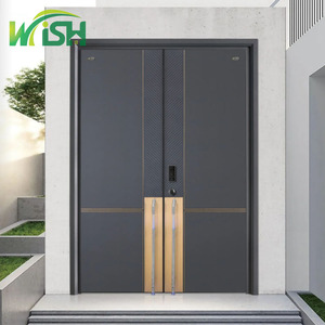 Modern Exterior Hurricane Proof Fire Insulated Aluminum Main Door