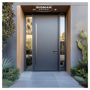 British Modern Minimalist Dark Grey Matte Security Pivot Door