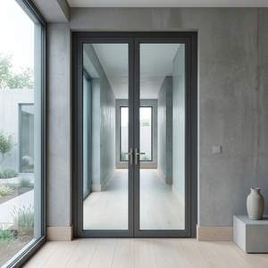 Modern Design Double Glass Entry Frameless Sliding Door Swing Casement door